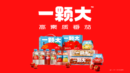 一顆大櫻桃番茄的東南亞之旅 中國蔬菜“出?！卑鎴D再拓展