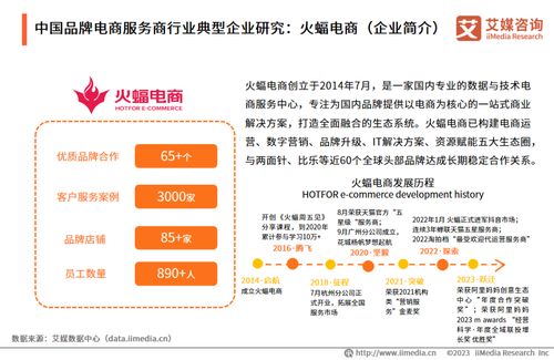 艾媒咨詢 2023年中國品牌電商服務(wù)商行業(yè)研究報(bào)告